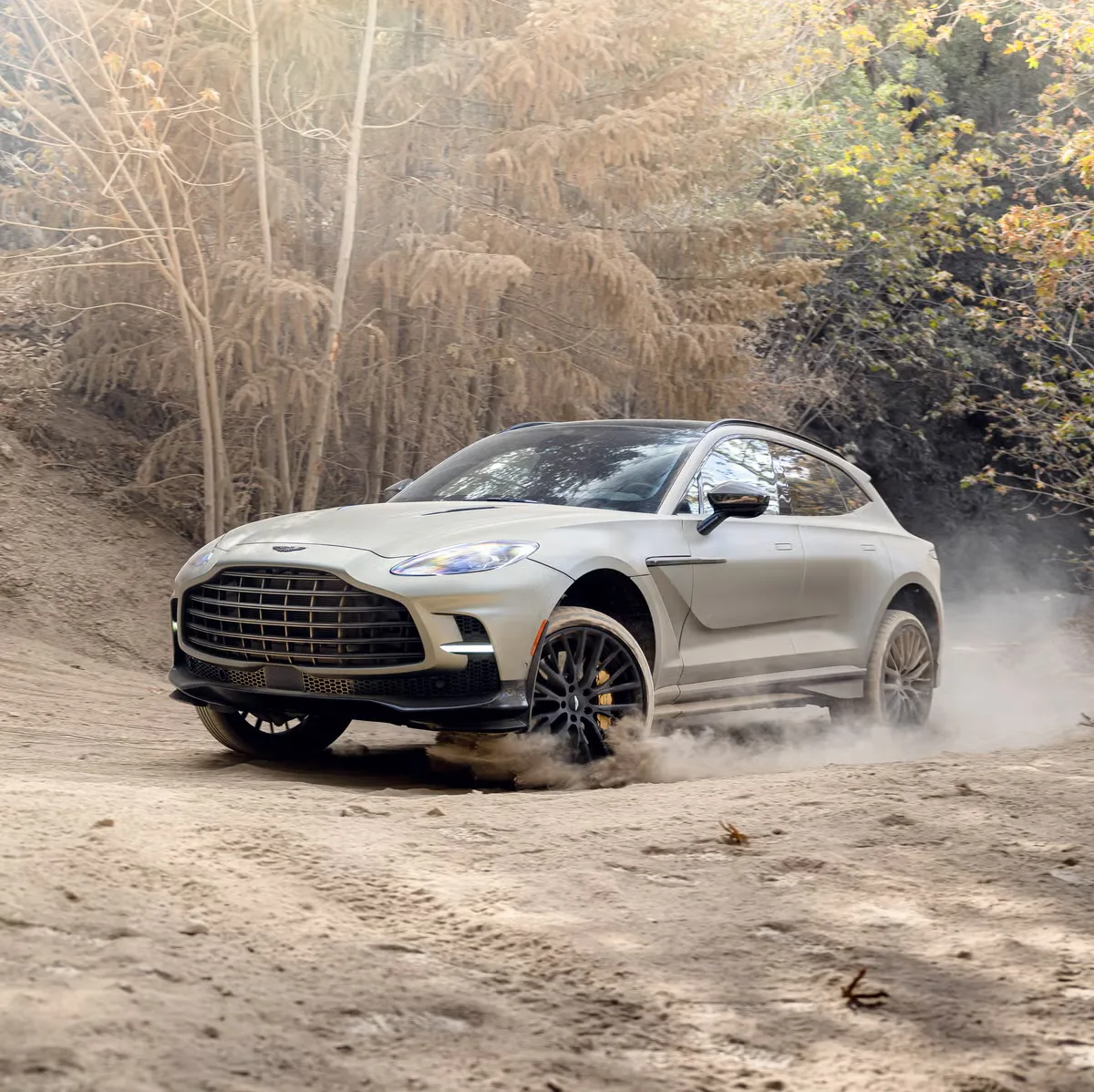 2024 Aston Martin DBX707 — photo 1